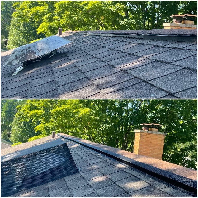 Completed mouse exclusion repair on a home