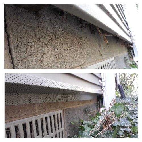 Before-and-after rodent exclusion repair sealing an exterior mouse entry point
