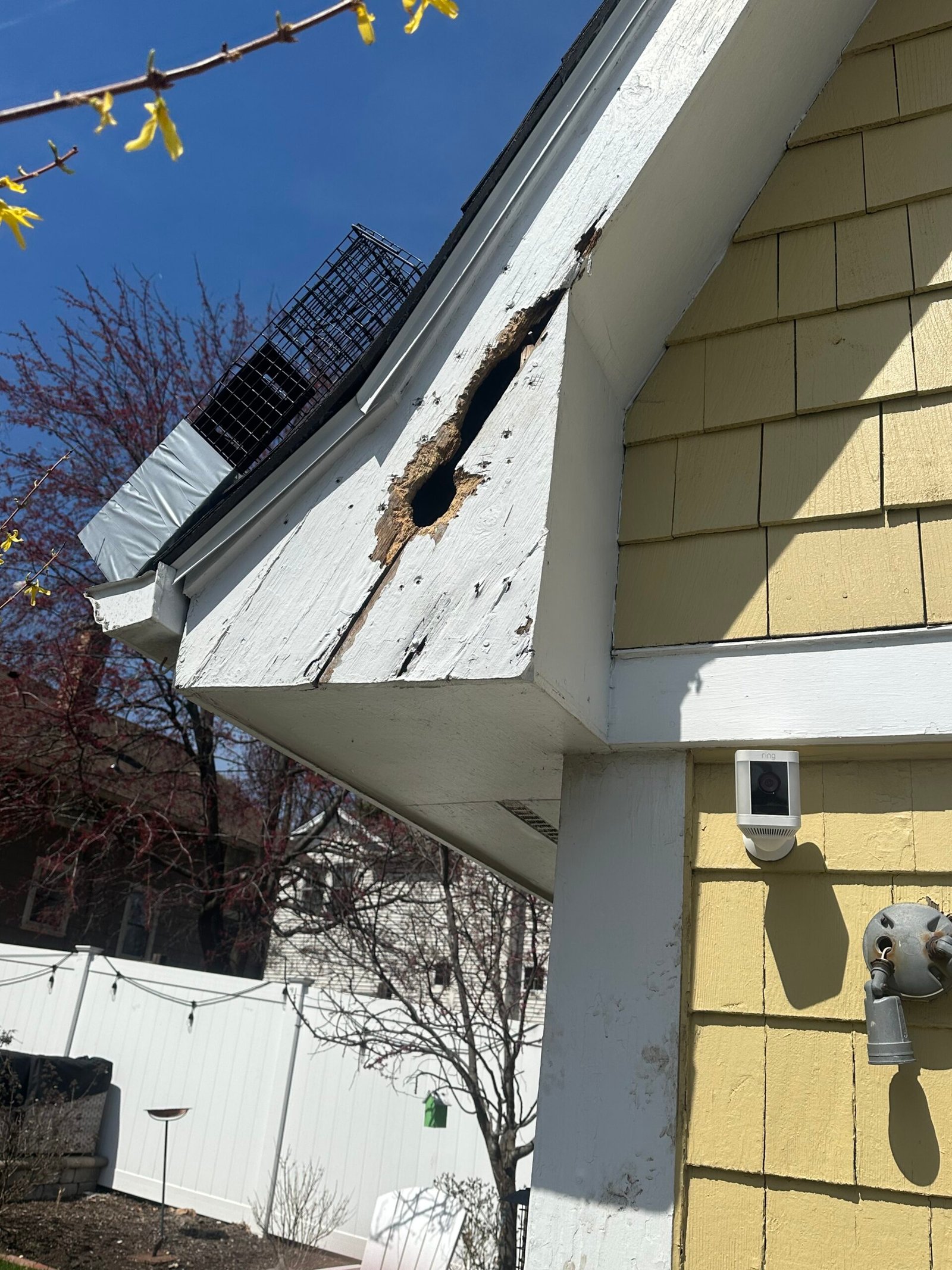 Fascia opening that can allow squirrel entry