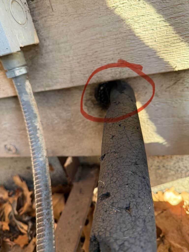 Mouse entry point identified during a home inspection